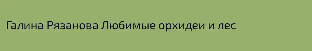 Галина Рязанова Любимые орхидеи и лес